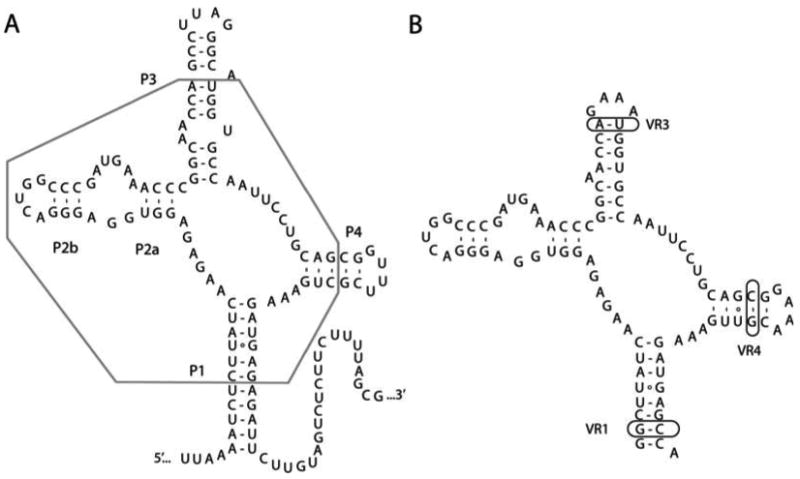 Fig. 9.2