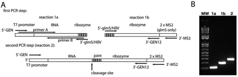 Fig. 9.6