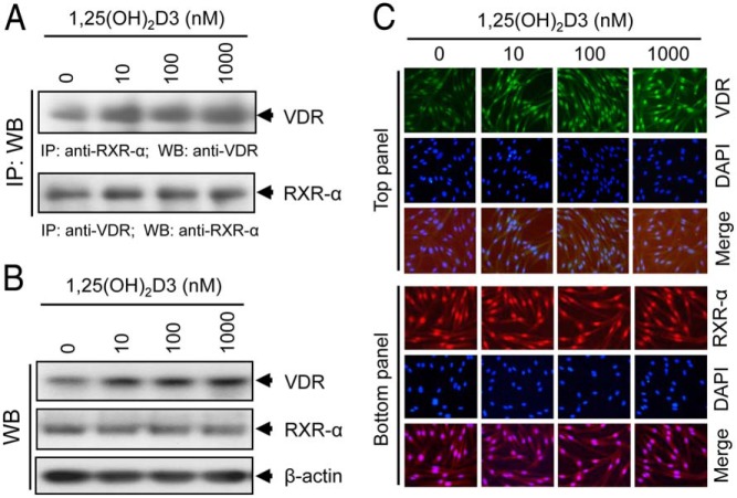 Figure 6.