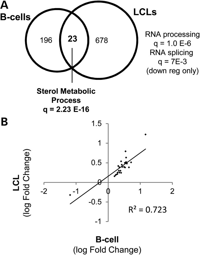 Figure 3.