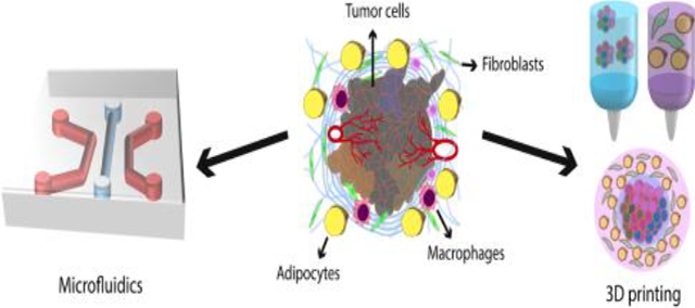 graphic file with name nihms-1564795-f0006.jpg