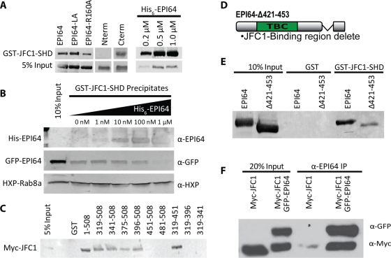 FIGURE 6: