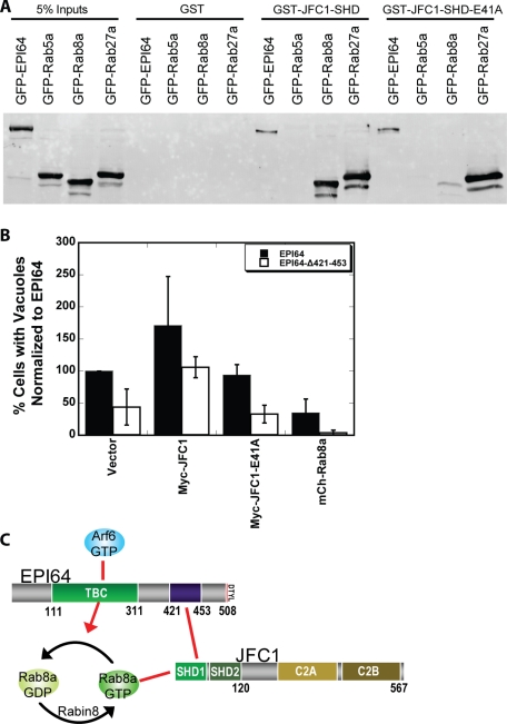 FIGURE 7: