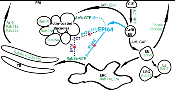 FIGURE 9: