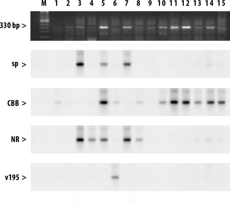 Figure 2.