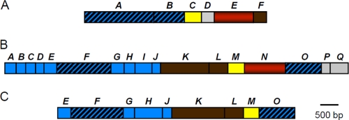 FIG. 1.