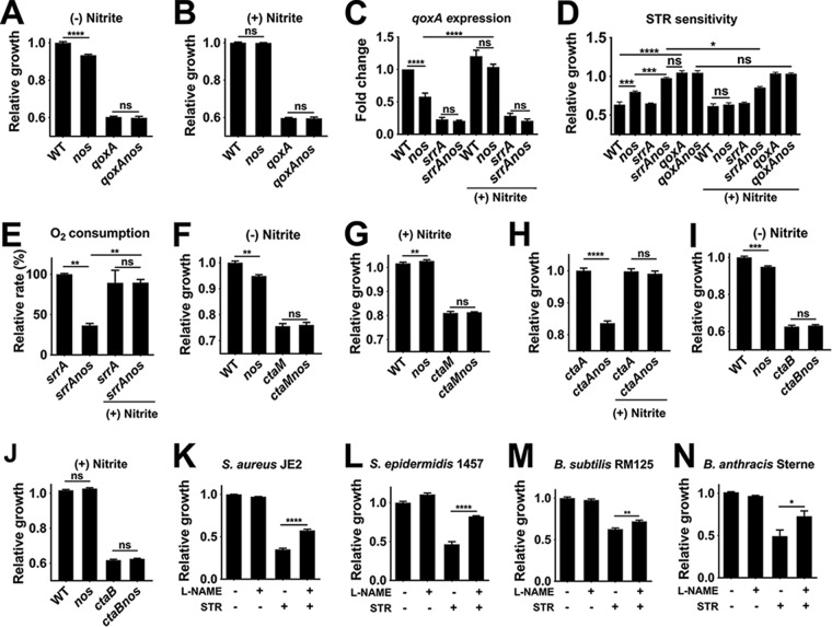 FIG 6 