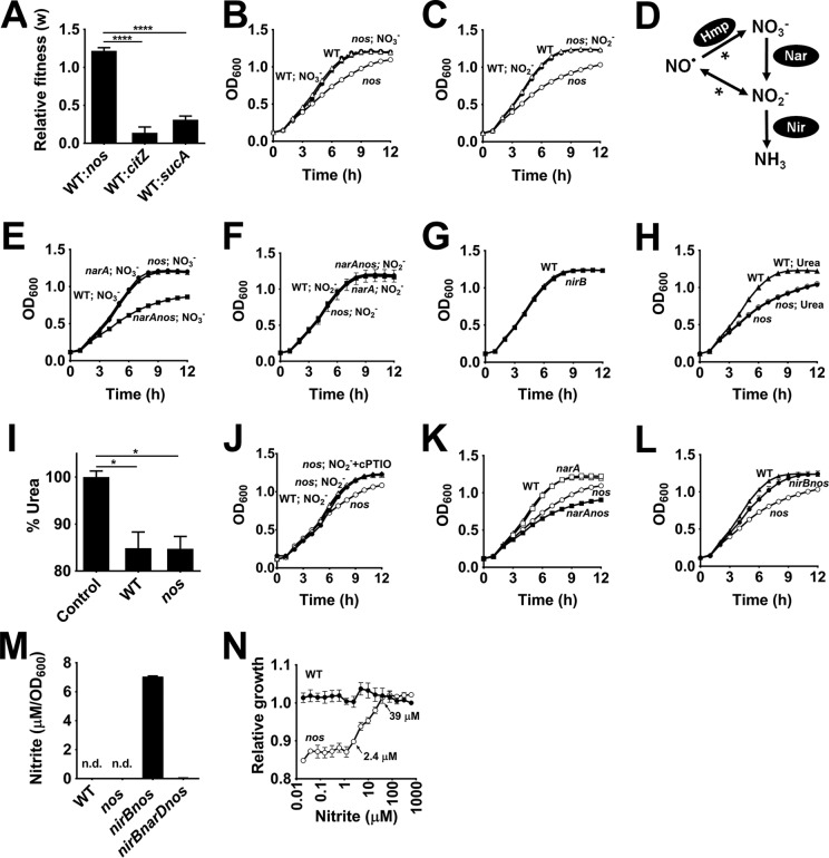 FIG 3 