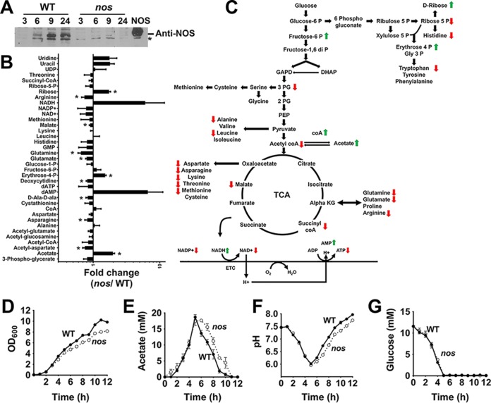 FIG 1 