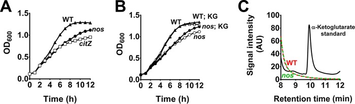 FIG 2 