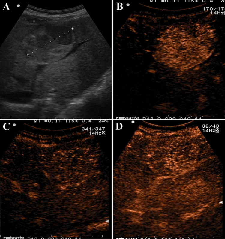 Fig. 2