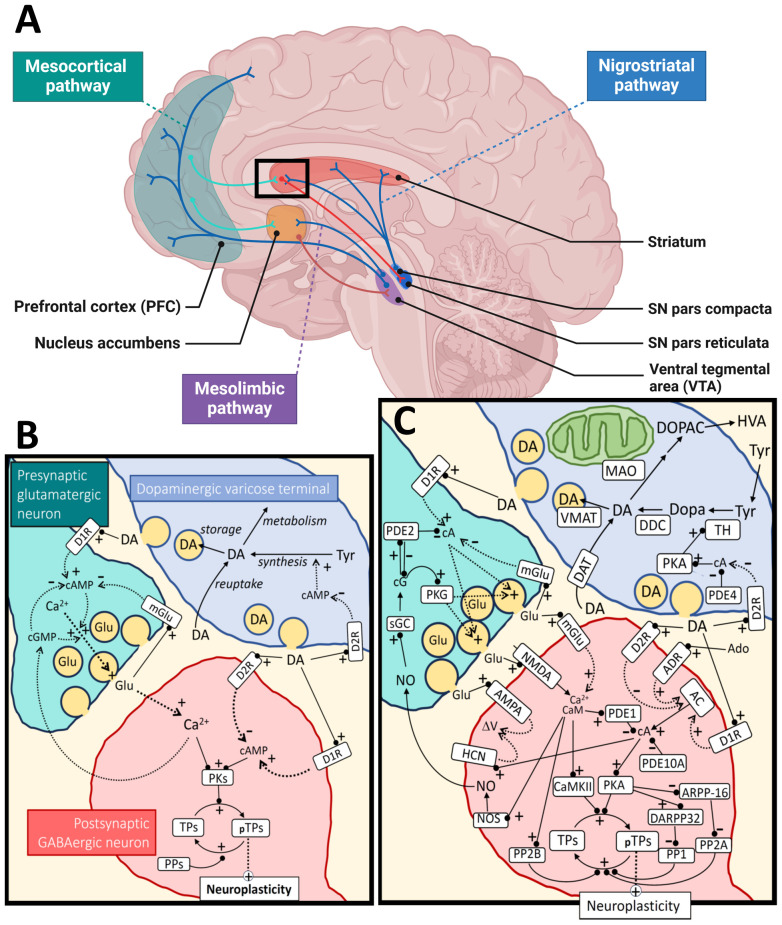 Figure 1