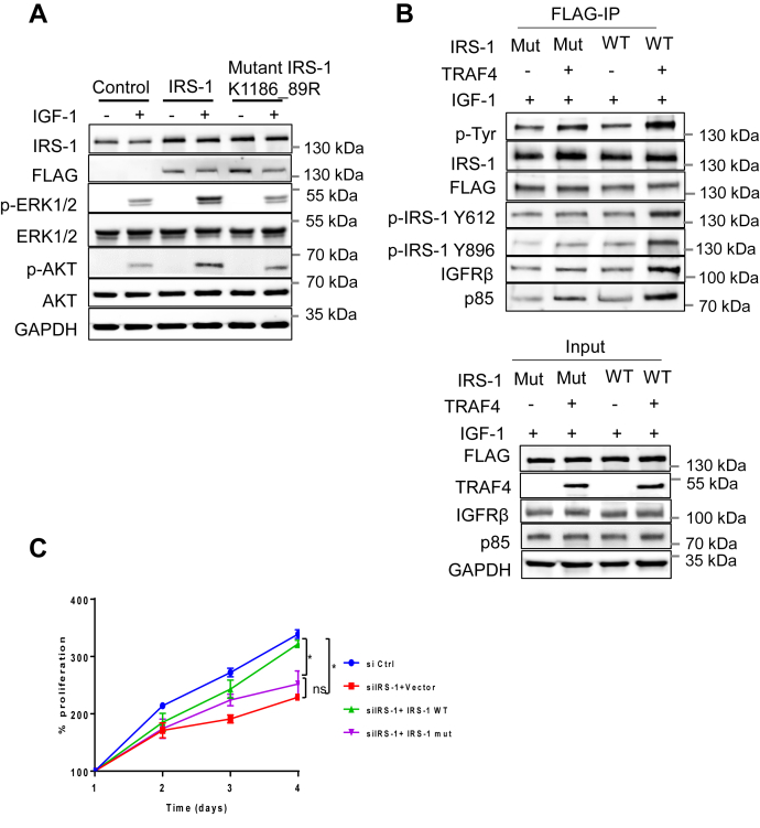 Figure 5