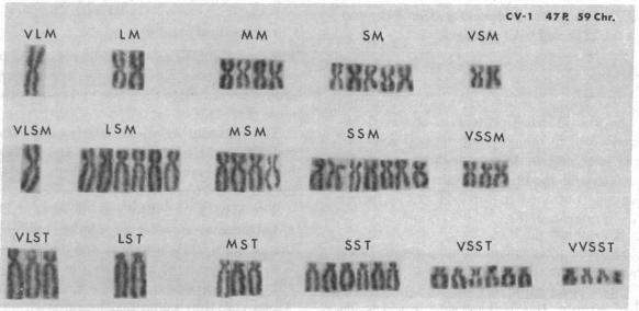 graphic file with name pnas00078-0075-a.jpg