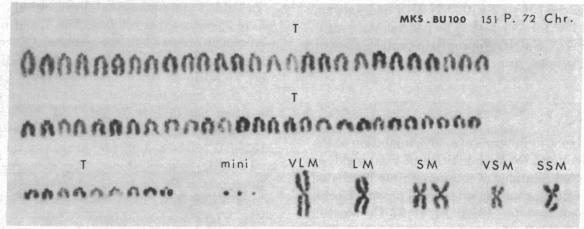 graphic file with name pnas00078-0075-b.jpg