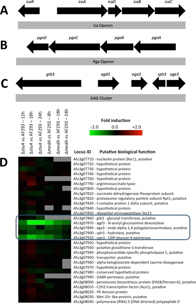 FIG 1 