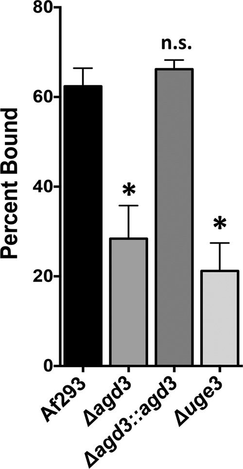 FIG 5 