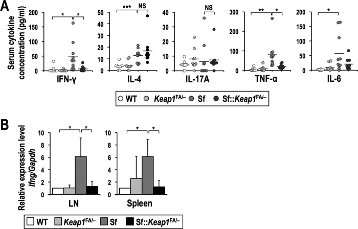 FIG 6