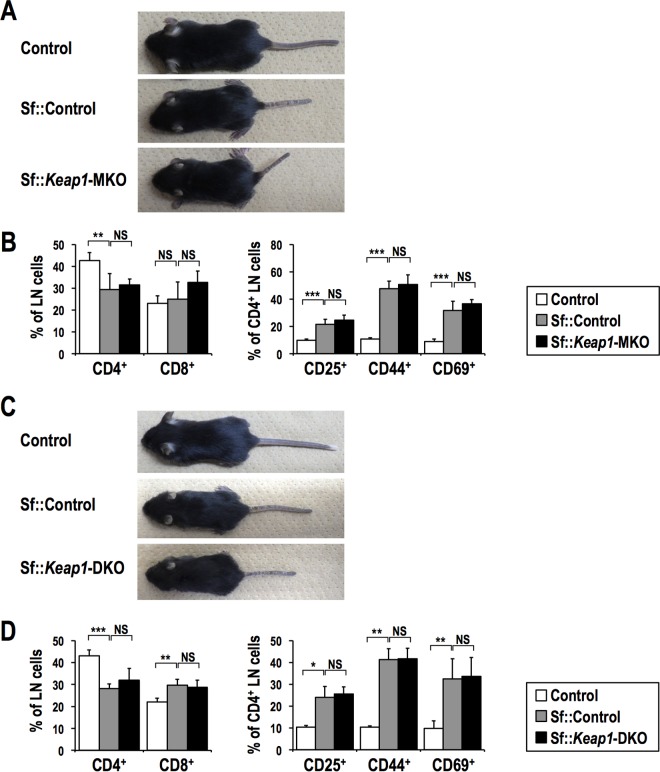 FIG 10