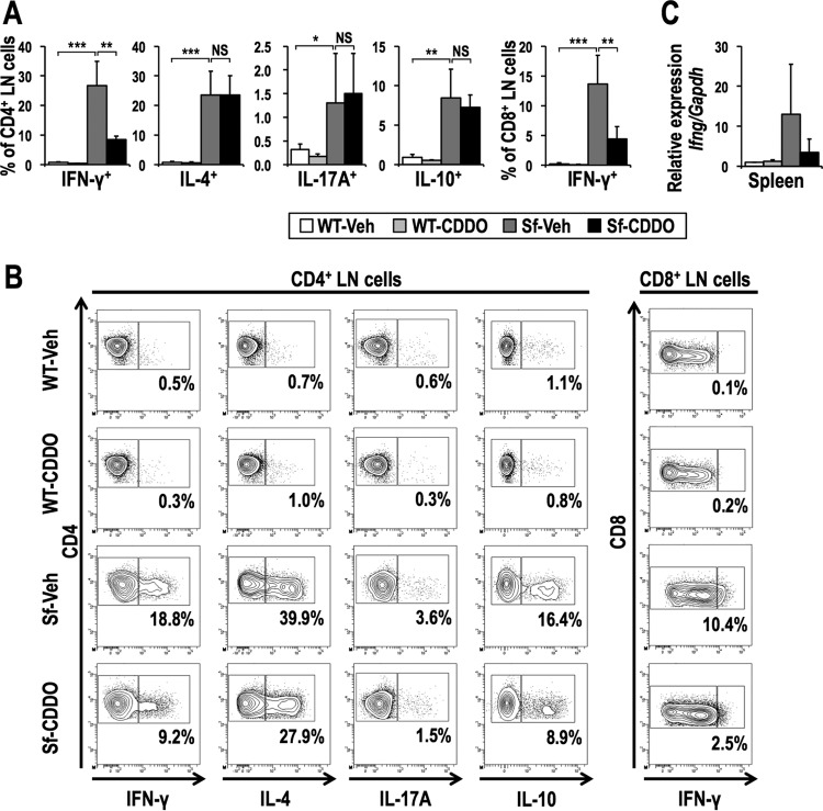 FIG 13