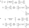 Scheme 2