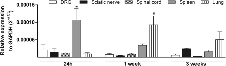 Fig. 10