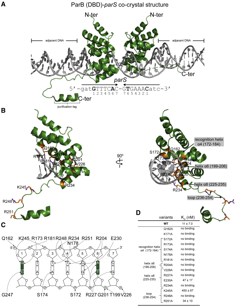 Figure 2