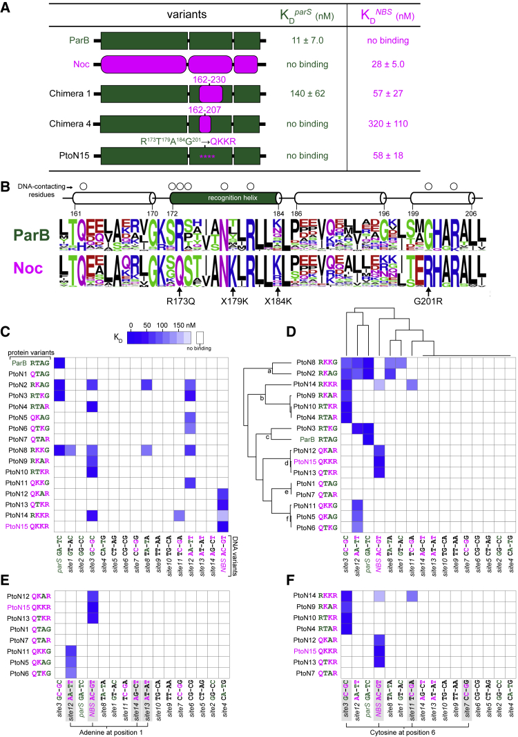 Figure 3