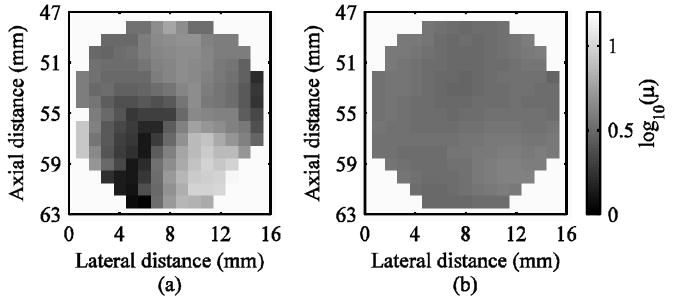 Fig. 10