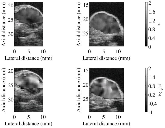 Fig. 13