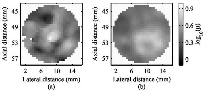 Fig. 8