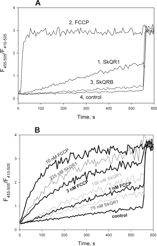 FIGURE 4.