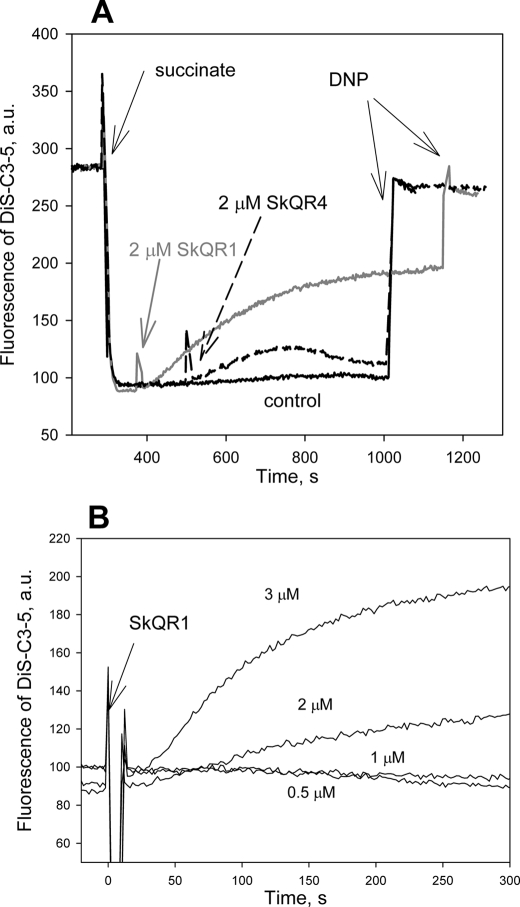 FIGURE 3.