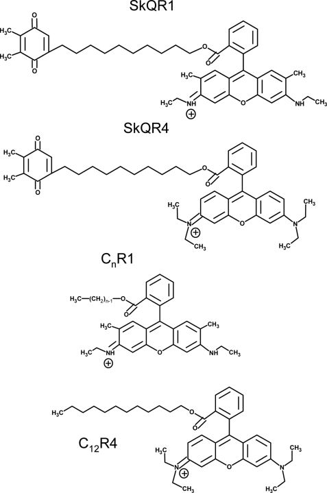 FIGURE 1.