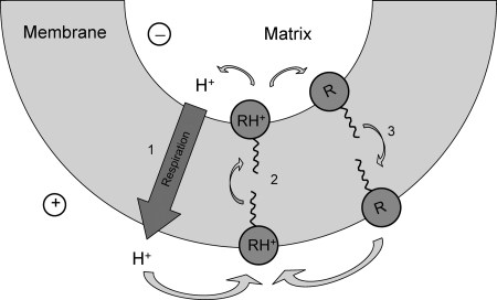 FIGURE 9.