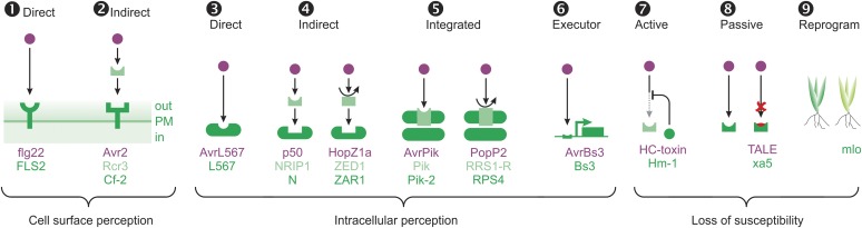 Figure 2.