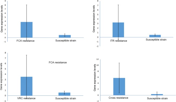 Fig. 4