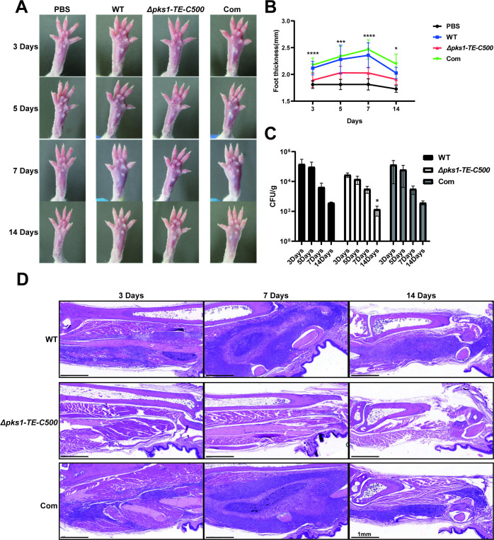 Fig 6