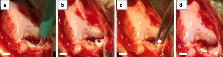 Fig. 1