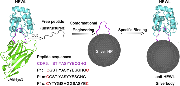 Figure 1