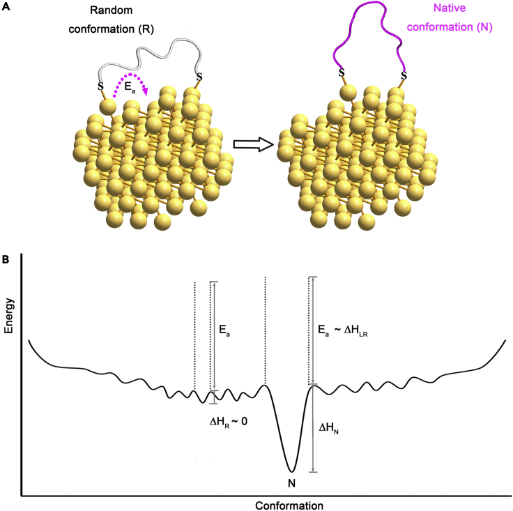 Figure 5