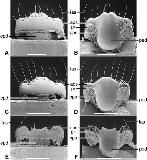 Figure 9.