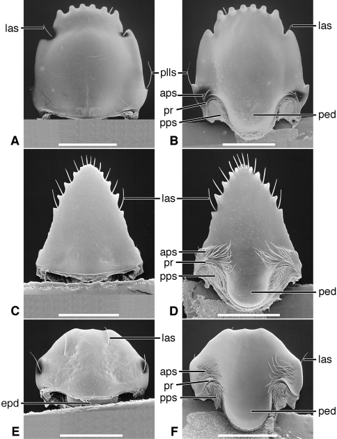 Figure 17.