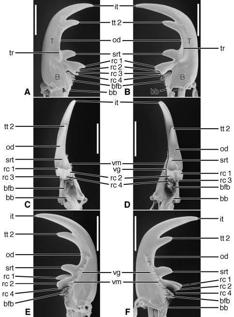 Figure 14.