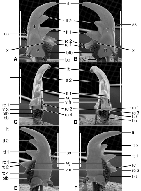 Figure 10.