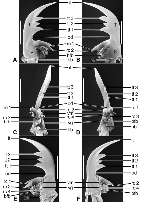 Figure 16.