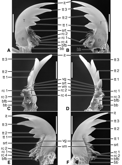 Figure 11.