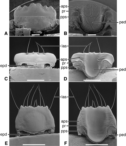 Figure 13.