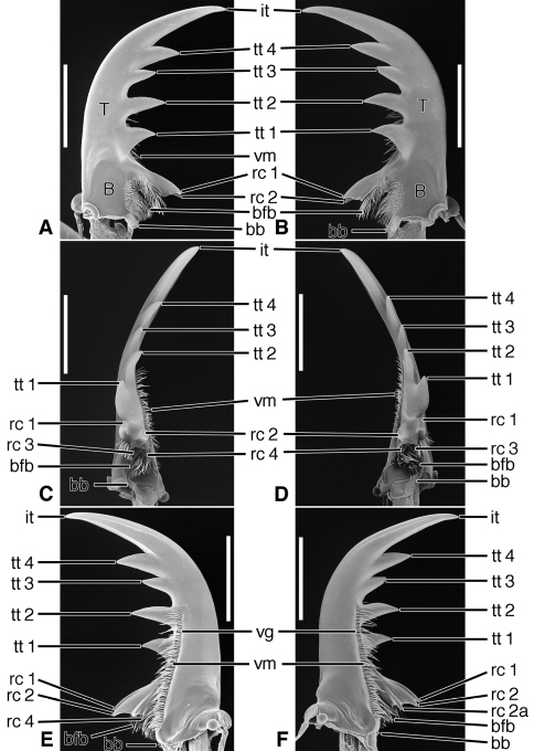 Figure 15.