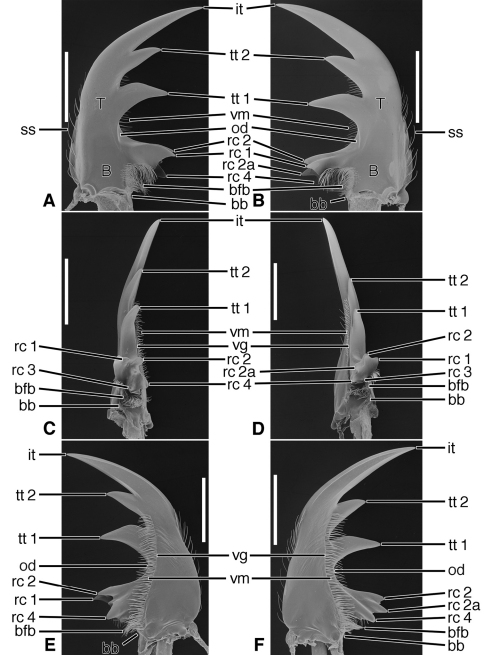 Figure 12.